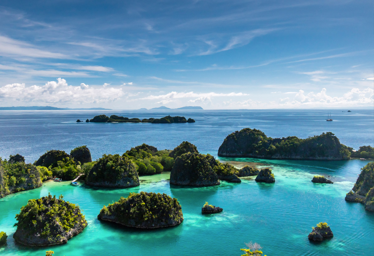 PAPUA