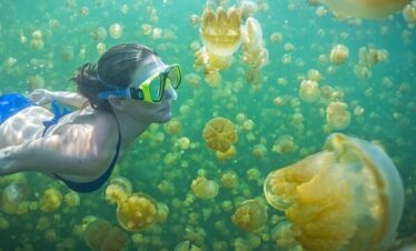3D2N EXOTIC OF DERAWAN (PRIVATE)