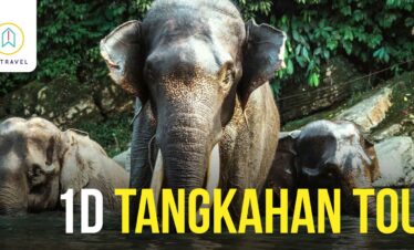 1-Day Experience of Tangkahan