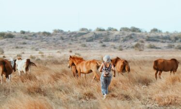 4D3N SUMBA SAVANA