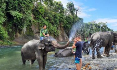 2D1N Bahorok in the Jungle