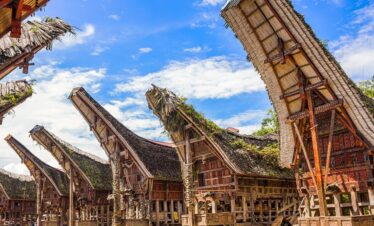5D4N Makassar Toraja Highlands Journey
