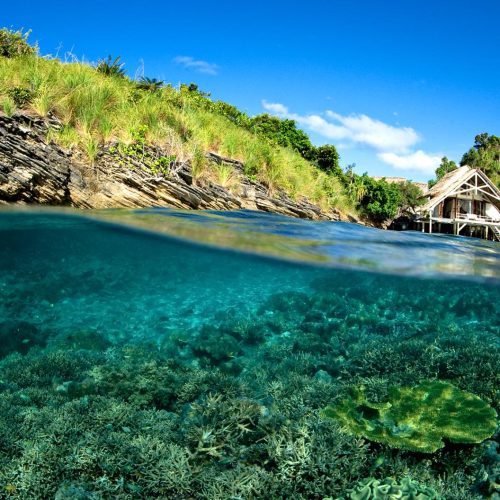 3D2N RAJA AMPAT MISOOL